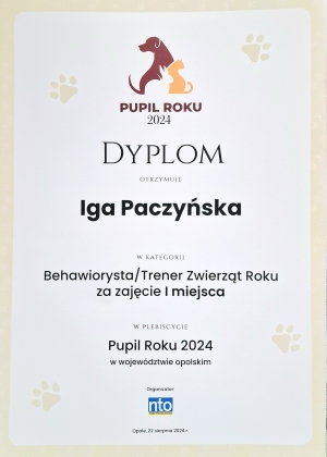 Praca indywidualna z klientem. Rozwiązywanie problemów behawioralnych- Opole. Behawiorysta w Opolu. 