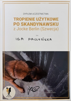 Jocke Berlin