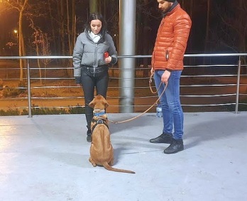 Quatro z przewodnikami