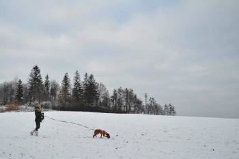 Skocz&oacute;w Psia Kość - Rubi z przewodniczką