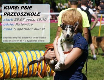 Szczeniaczkowo- psie przedszkole Katowice