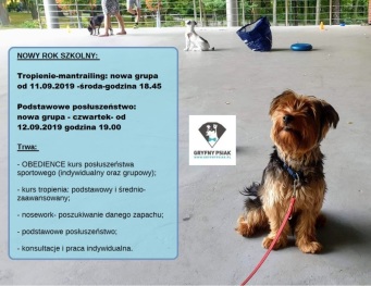 Gryfny psiak szkolenia ps&oacute;w Katowice